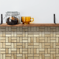 PENTAGON/ペンタゴン(Kannyu)/PTG-06 | S-Sense by RIPPU