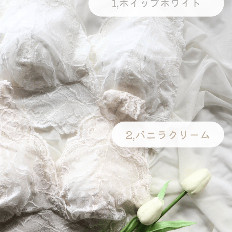 ☆よもぎ様☆専用出品商品です！ 【公式通販】