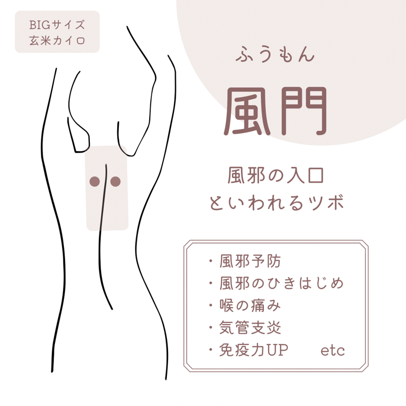 玄米カイロ BIG ✲ ミモザ ✲ 30×18cm(玄米500g) | n time.