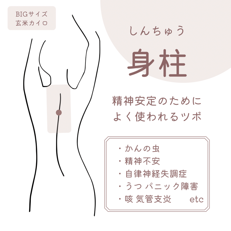 玄米カイロ BIG ✲ ミモザ ✲ 30×18cm(玄米500g) | n time.