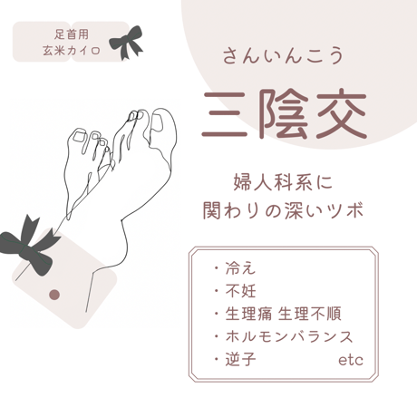 玄米カイロ 足首用 ✲ 植物柄 ✲