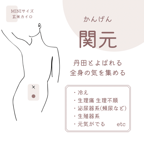 玄米カイロ miniサイズ　18×13.5cm(玄米200g)