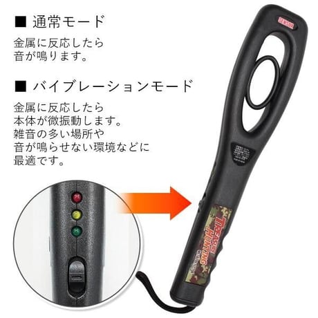 トレジャーハンティング　金属探知機　お宝さがし　冒険　レジャー　親子でお出かけ