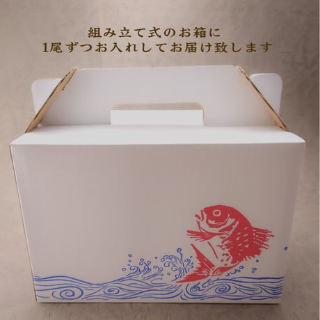 明石産天然鯛 3名様用 3尾