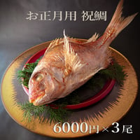 瀬戸内海産養殖鯛　　　3~4名様用　３尾