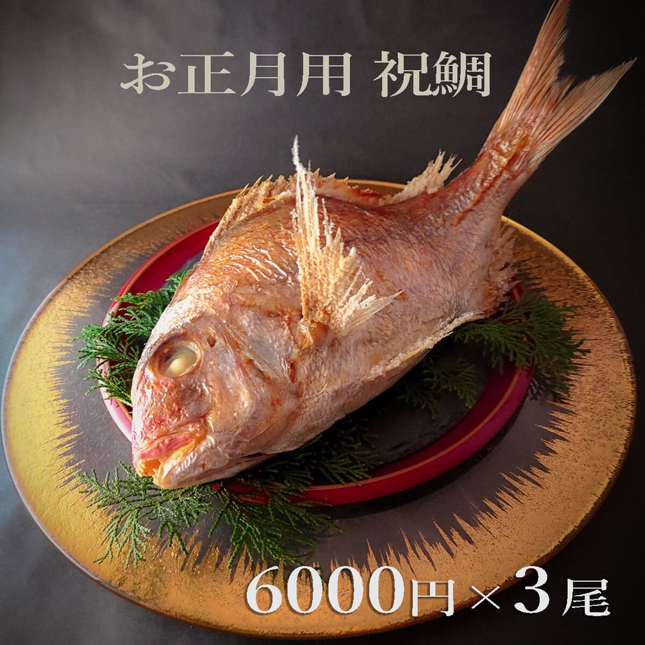 616ed9b30548e055f6ef1a20