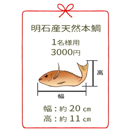 明石産天然鯛　1名様用１尾