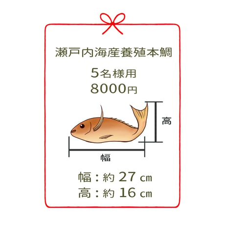 瀬戸内海産養殖鯛　　　5名様用　４尾