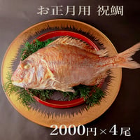明石産天然鯛　1名様用［小］４尾