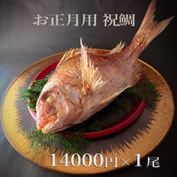 瀬戸内海産養殖鯛　　　7~8名様用　１尾