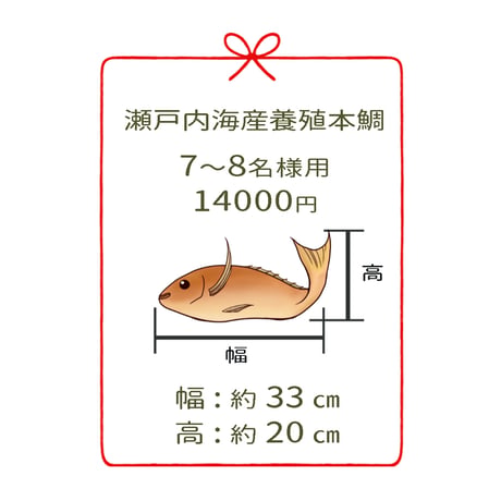 瀬戸内海産養殖鯛　　　7~8名様用　４尾
