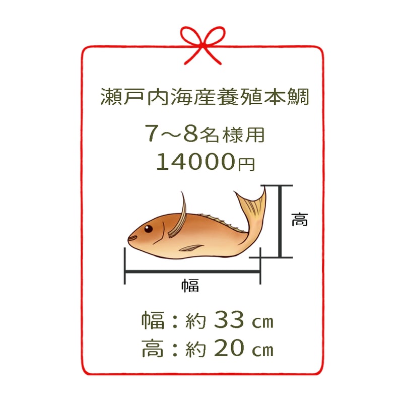 瀬戸内海産養殖鯛 7~8名様用 4尾 | 明石:魚秀 ［お正月用祝鯛