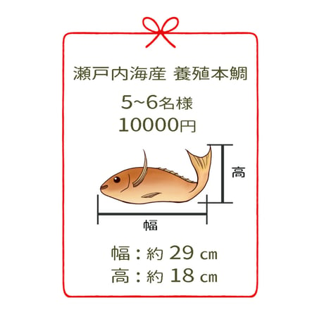 瀬戸内海産養殖鯛　　　5~6名様用　４尾
