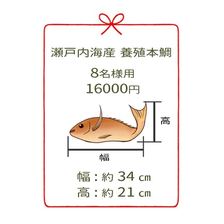 瀬戸内海産養殖鯛　　　8名様用　３尾