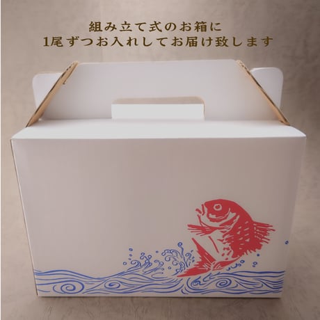 瀬戸内海産養殖鯛　　　5名様用　４尾