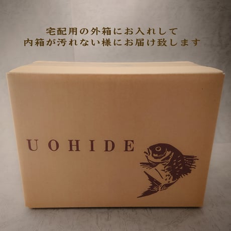 明石産天然鯛 3名様用 3尾