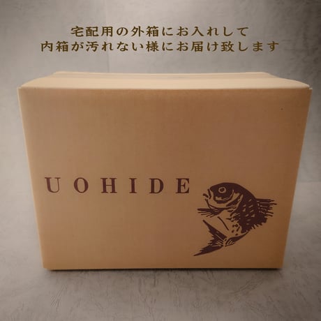 瀬戸内海産養殖鯛　　　9～10名様用　３尾