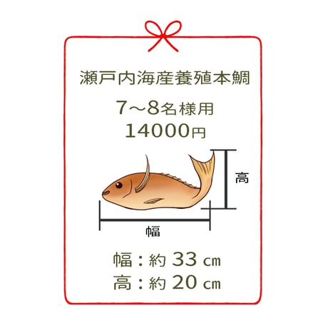 瀬戸内海産養殖鯛　　　7～8名様用　２尾