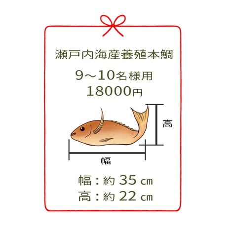 瀬戸内海産養殖鯛　　　9～10名様用　２尾
