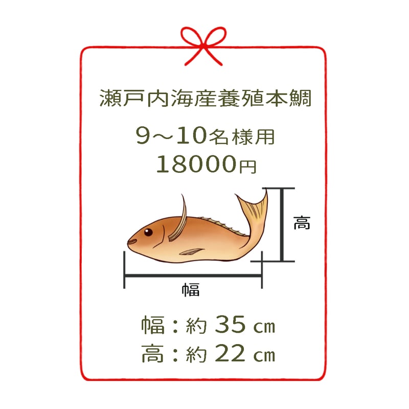 瀬戸内海産養殖鯛 9～10名様用 2尾 | 明石:魚秀 ［お正月用祝鯛