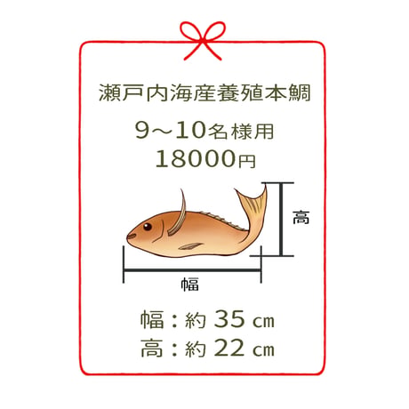 瀬戸内海産養殖鯛　　　9～10名様用　３尾