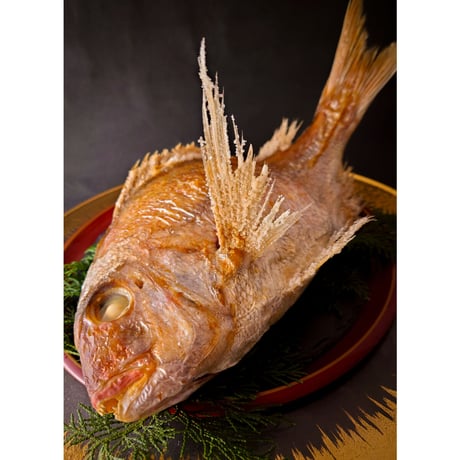 明石産天然鯛 3名様用 3尾