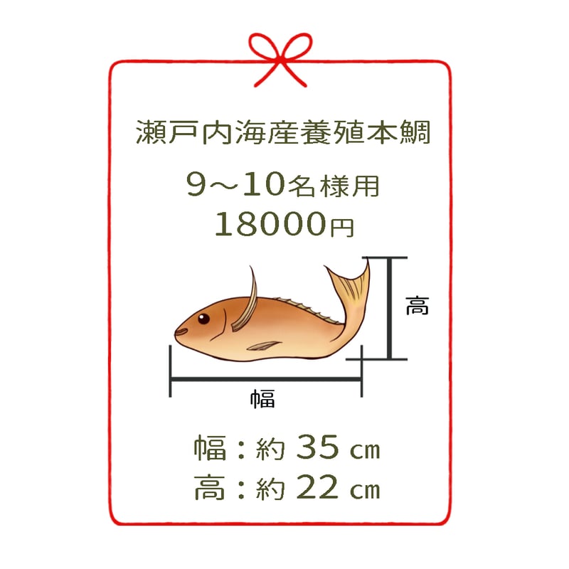 瀬戸内海産養殖鯛 9~10名様用 4尾 | 明石:魚秀 [お正月用祝鯛 瀬戸内海産養殖鯛 9~10名様用 4尾 | 明石:魚秀 [お正月用祝鯛