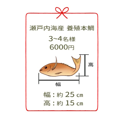瀬戸内海産養殖鯛　　　3~4名様用　２尾