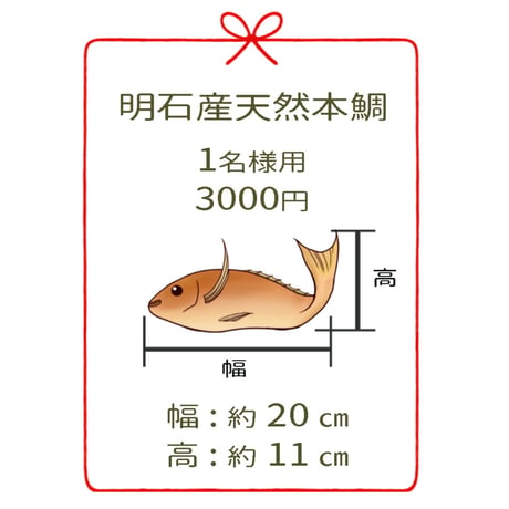 明石産天然鯛　1名様用３尾