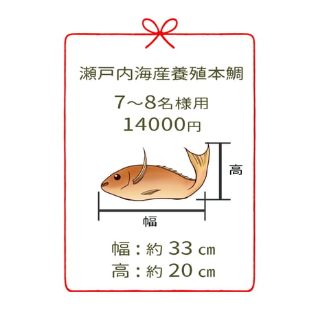 瀬戸内海産養殖鯛　　　7~8名様用　３尾