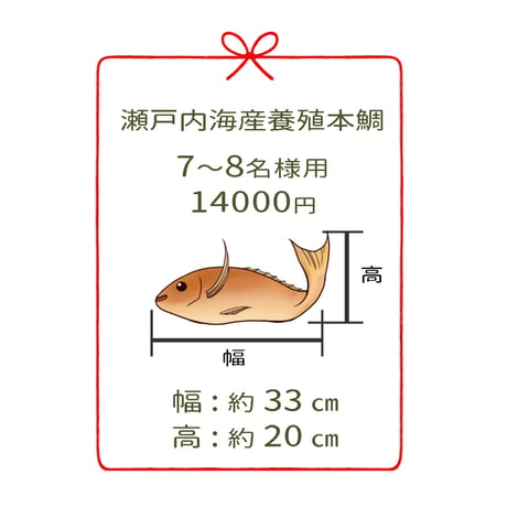 瀬戸内海産養殖鯛　　　7~8名様用　１尾