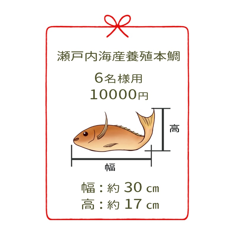 瀬戸内海産養殖鯛 6名様用 3尾 | 明石:魚秀 ［お正月用祝鯛専用］公式