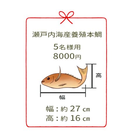 瀬戸内海産養殖鯛　　　5名様用　２尾