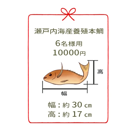 瀬戸内海産養殖鯛　　　6名様用　１尾
