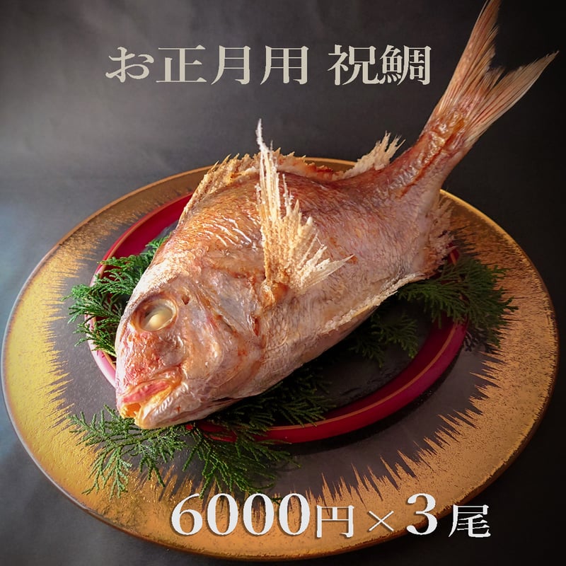 瀬戸内海産養殖鯛 4名様用 3尾 | 明石:魚秀 ［お正月用祝鯛専用］公式