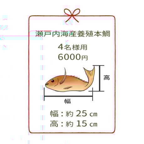 瀬戸内海産養殖鯛　　　4名様用　２尾