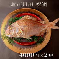 明石産天然鯛 2名様用 ２尾