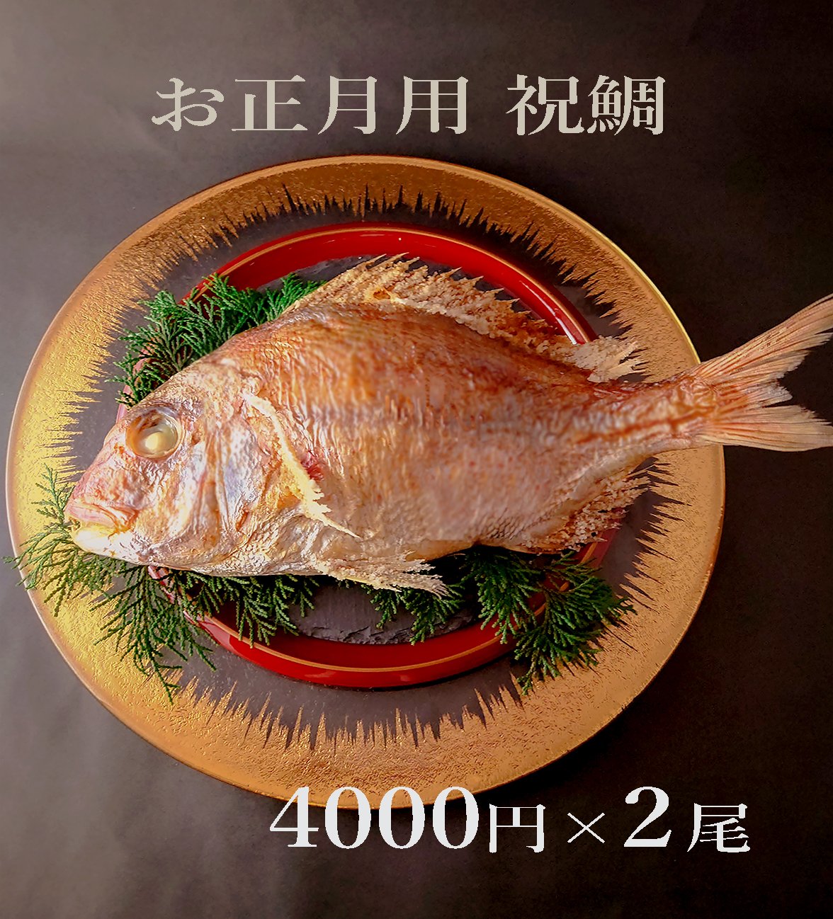 明石産天然鯛 2名様用 2尾 | 明石:魚秀 ［お正月用祝鯛専用］公式