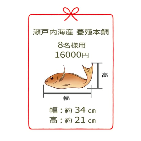 瀬戸内海産養殖鯛　　　8名様用　２尾