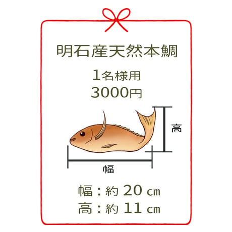 明石産天然鯛　1名様用４尾