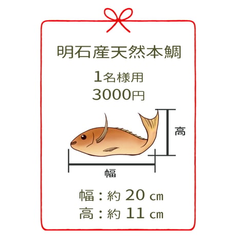 明石産天然鯛　1名様用２尾