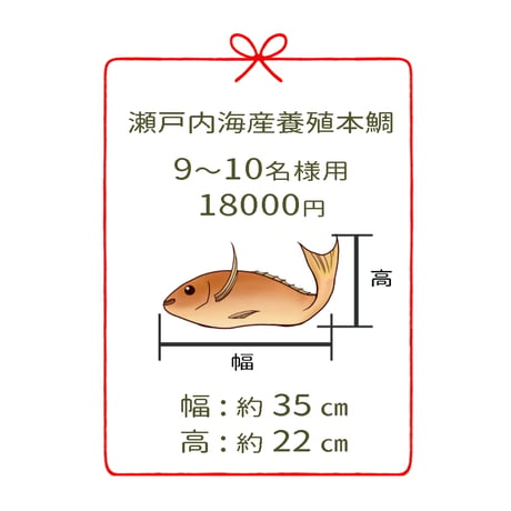 瀬戸内海産養殖鯛　　　9～10名様用　１尾