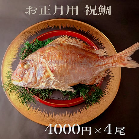 明石産天然鯛 2名様用 ４尾