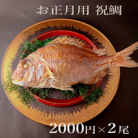 明石産天然鯛　1名様用［小］２尾