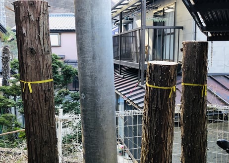 Nagano Drops　～ sawara ～　5ml