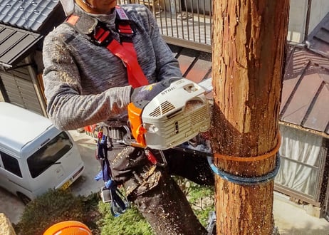 Nagano Drops　～ sawara ～　5ml