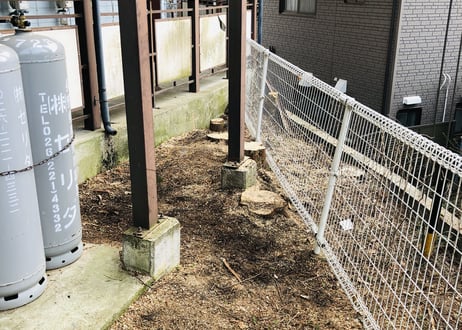 Nagano Drops　～ sawara ～　5ml