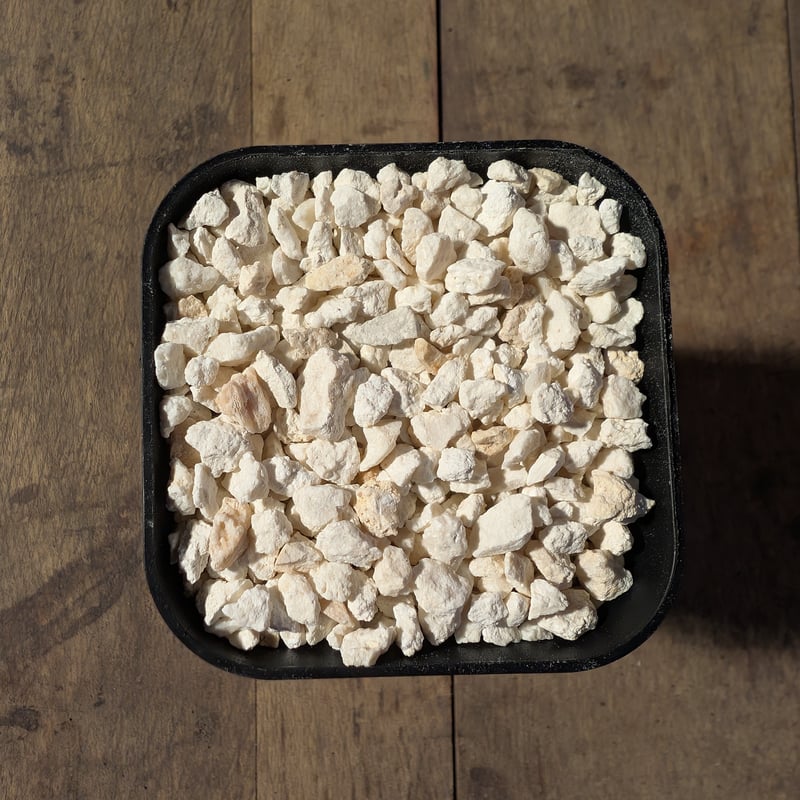 希少　天然珊瑚礁　水槽用白い石灰岩 大型　約約40cm 希少 天然珊瑚礁 水槽用白い石灰岩 大型 約約40cm 希少 天然珊瑚礁