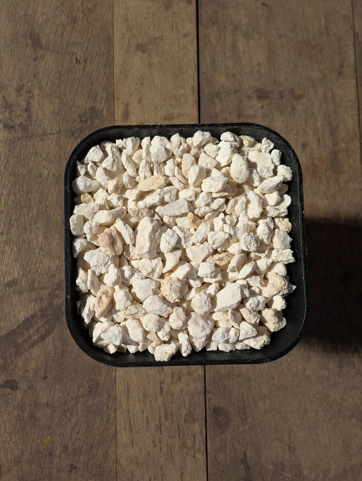 白色花状化石 石灰岩 SPサイズ Limestone[WHITE] 2kg 化粧砂 石灰岩 | arrowsands