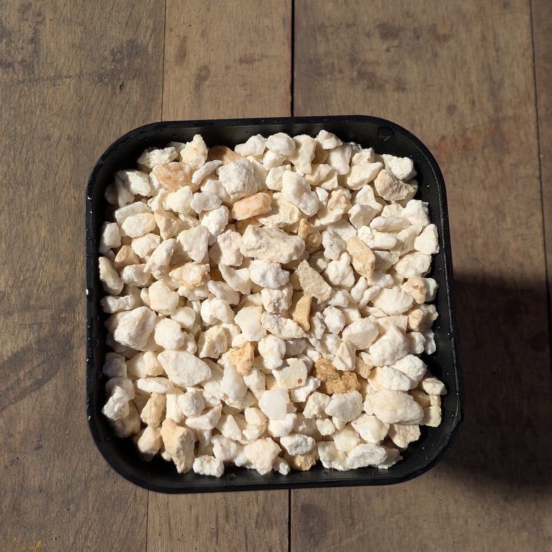 白色花状化石 石灰岩 石灰珪質片麻岩・ミグマタイト質花崗岩類